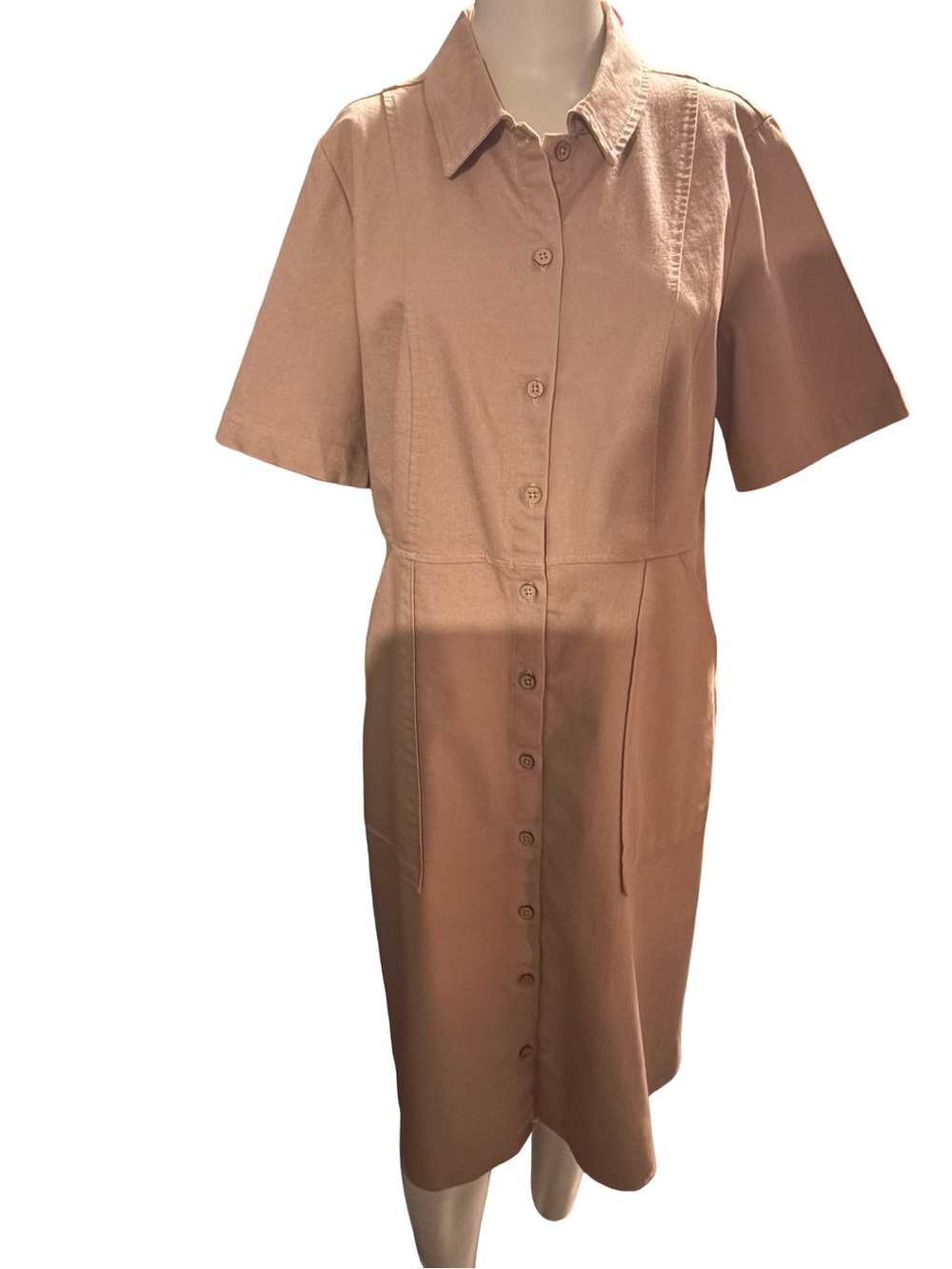 Nina Leonard Neutral Beige Blouse
